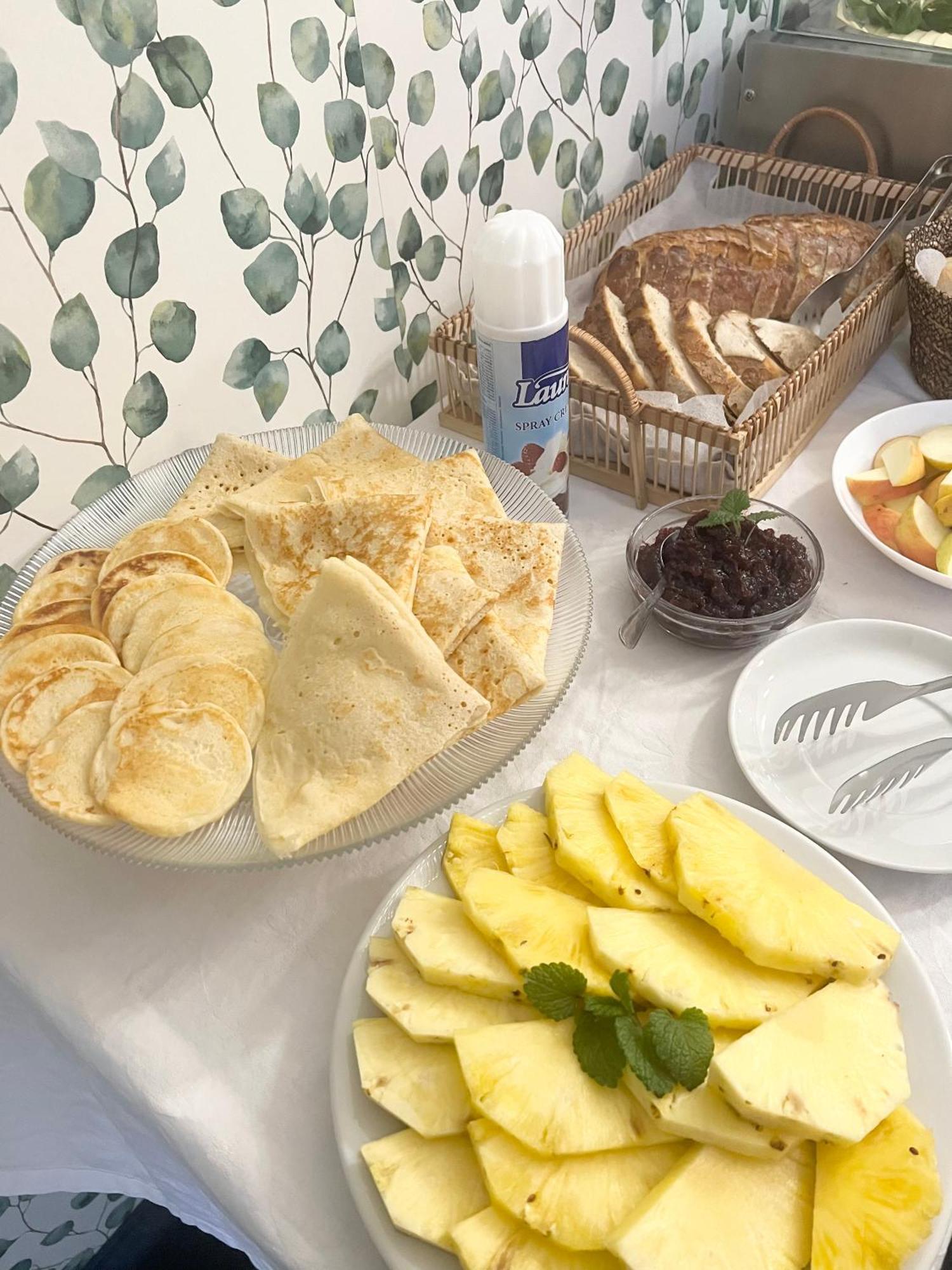 Hotel Apollon Litomerice Ngoại thất bức ảnh